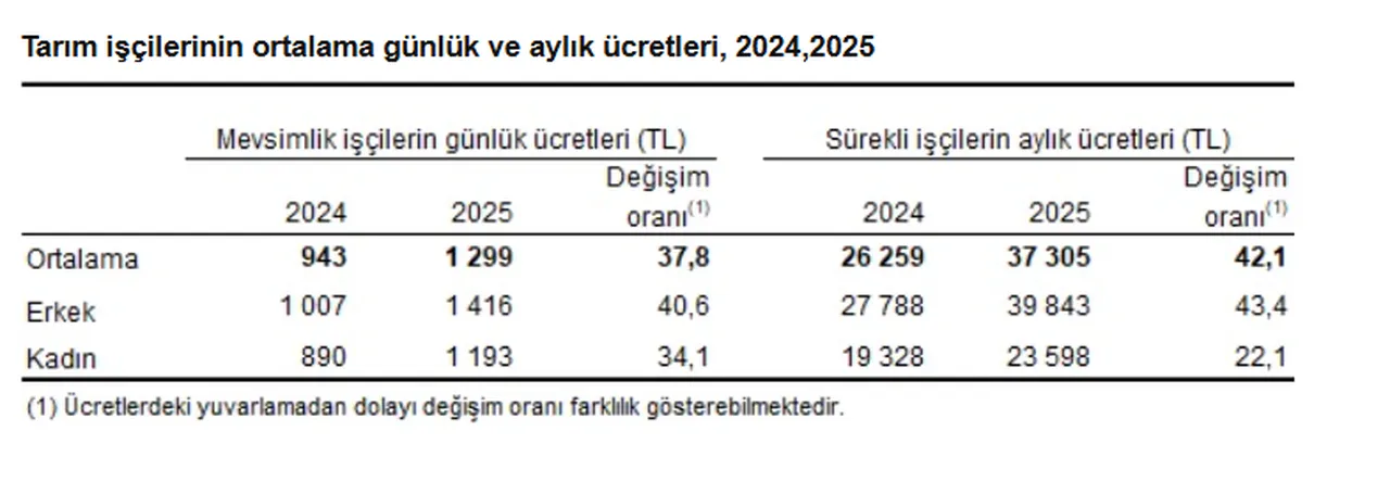 Tarım işçilerinin ücretlerinde dikkat çeken artış