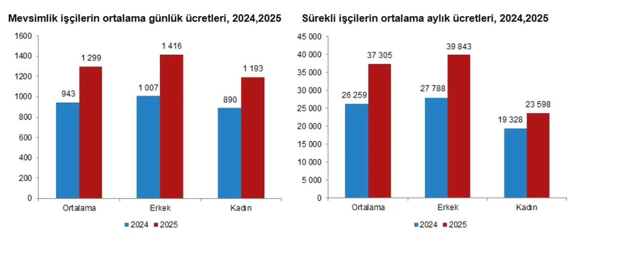 Tarım işçilerinin ücretlerinde dikkat çeken artış