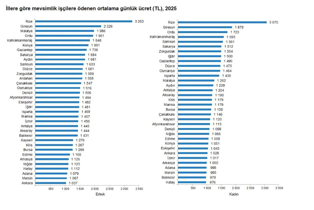 Tarım işçilerinin ücretlerinde dikkat çeken artış