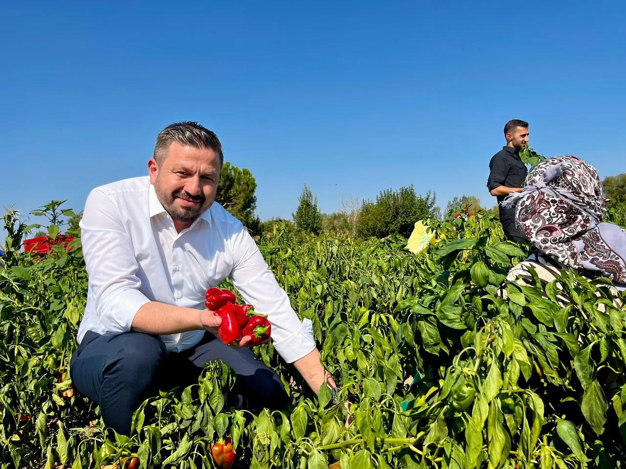Balıkesirli çiftçilere müjde! 867 milyon TL destek ödemesi yapılacak