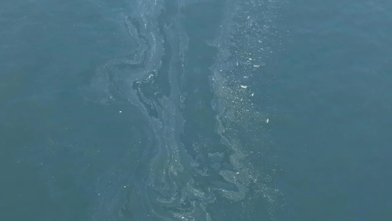 İzmir Körfezi'nde kirlilik tespit edildi! 4 ayda 7'nci kez oldu