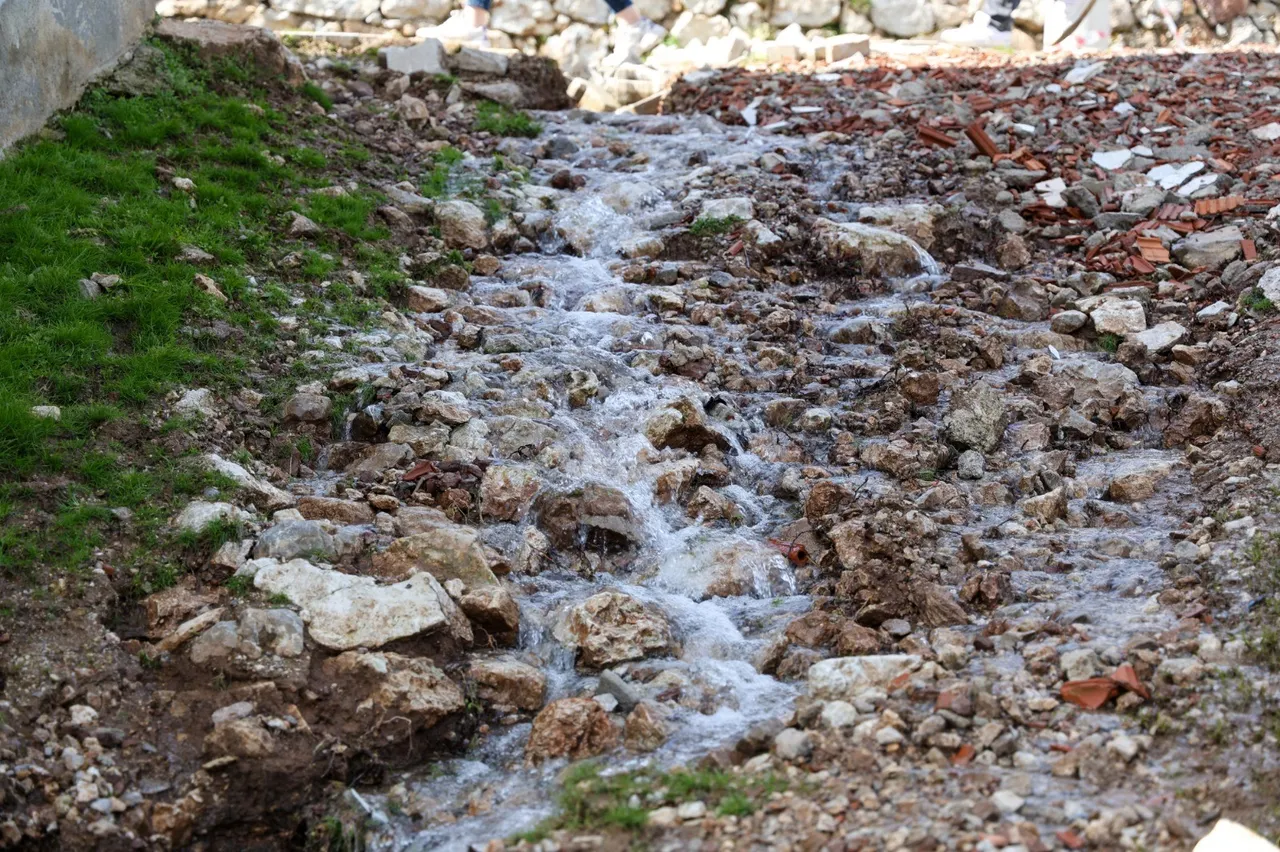 Şaşırtan görüntü: Tarlalardan bir anda fışkırmaya başladı, görenler hayret etti