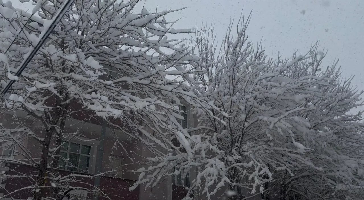 Bahar beklenirken her yer beyaza büründü: O ilçede kar kalınlığı 40 santimetreyi buldu