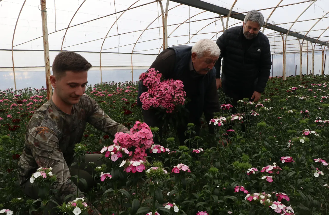 Dört nesil tek sevda: Çiçekçilik geleneği torunlarla sürdürülüyor