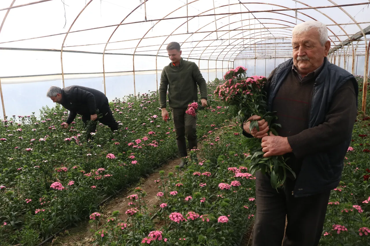 Dört nesil tek sevda: Çiçekçilik geleneği torunlarla sürdürülüyor