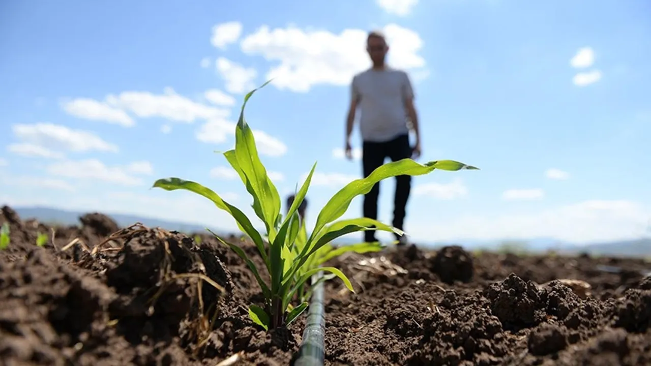 Gübre tedarikine tedbir! Üre cinsi eşya için gümrük vergileri sıfırlandı