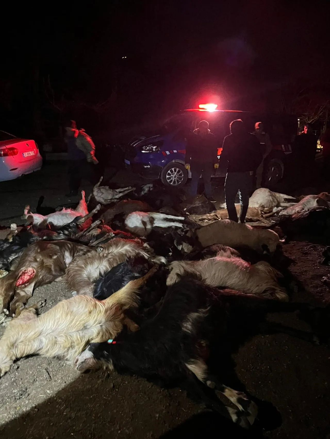 Suyu içen hayvan telef oldu! İddialar vahim, zarar 1 milyon