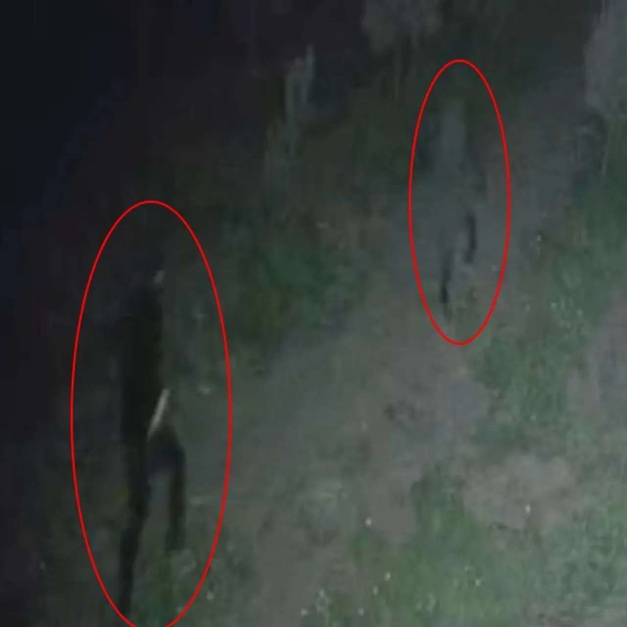 Evinden çıkan adamları kovaladı, oracıkta öldürüldü