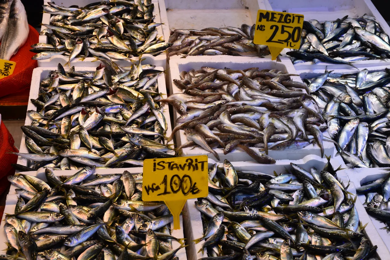 Hamsi dönemi bitti! İşte tezgahların en ucuz balığı: Kilosu 100 lira!