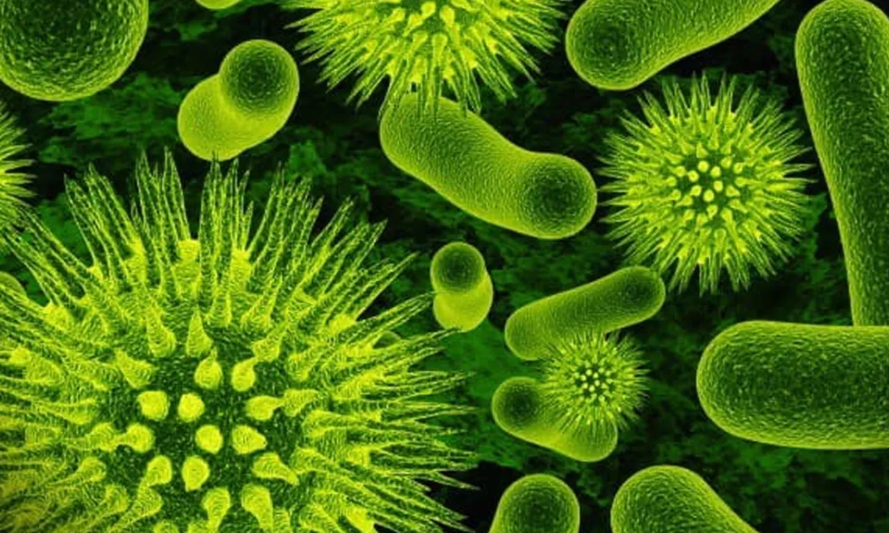 Herkes tavuk diye biliyordu… En zararlı et çeşidi başka çıktı