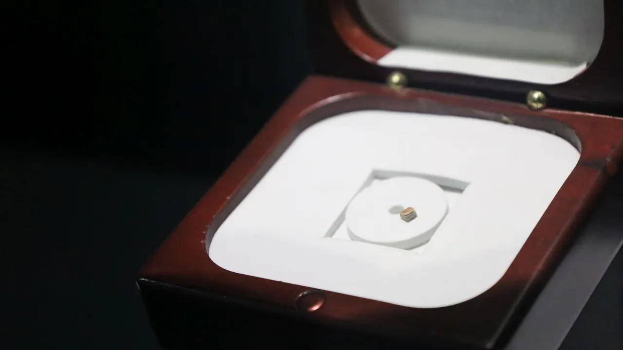   Milimetrik miras! Her sayfası ipek, görenler inanamıyor 