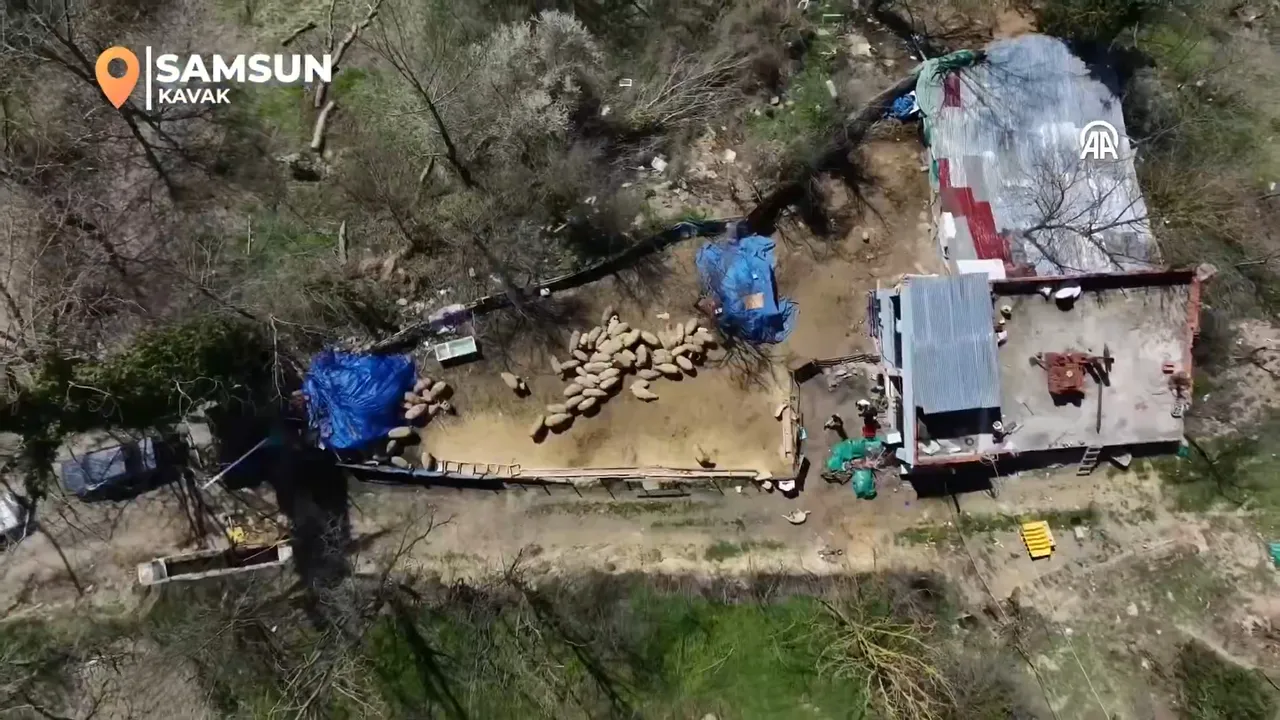 46 yıldır çözülemiyordu, 28 günde el sıkıştılar! Bakan Gürlek yeni dönemi Samsun örneğiyle anlattı