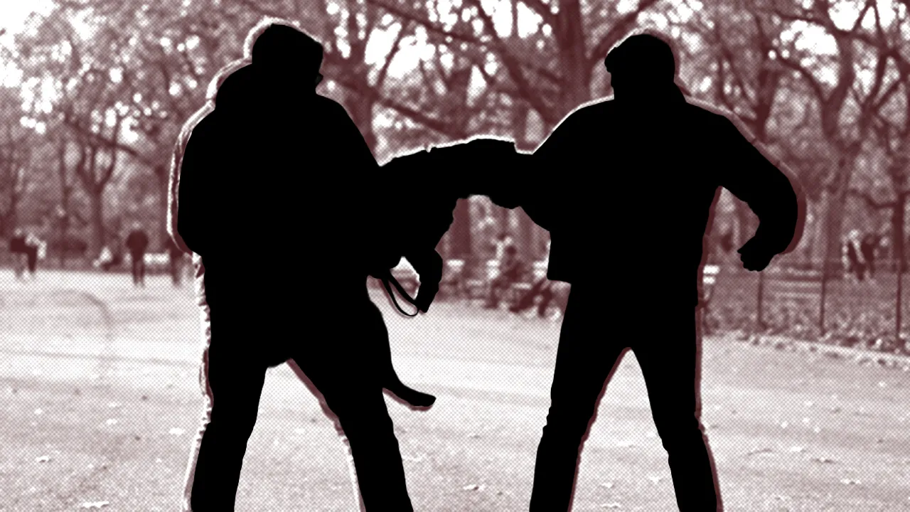 Dehşetin adresi Ankara... Savcıya 'köpekli' pusu! 