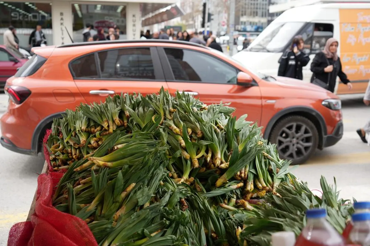 Doğada kendi kendine yetişiyor! Tam bir şifa deposu: Kilosu 200 lira