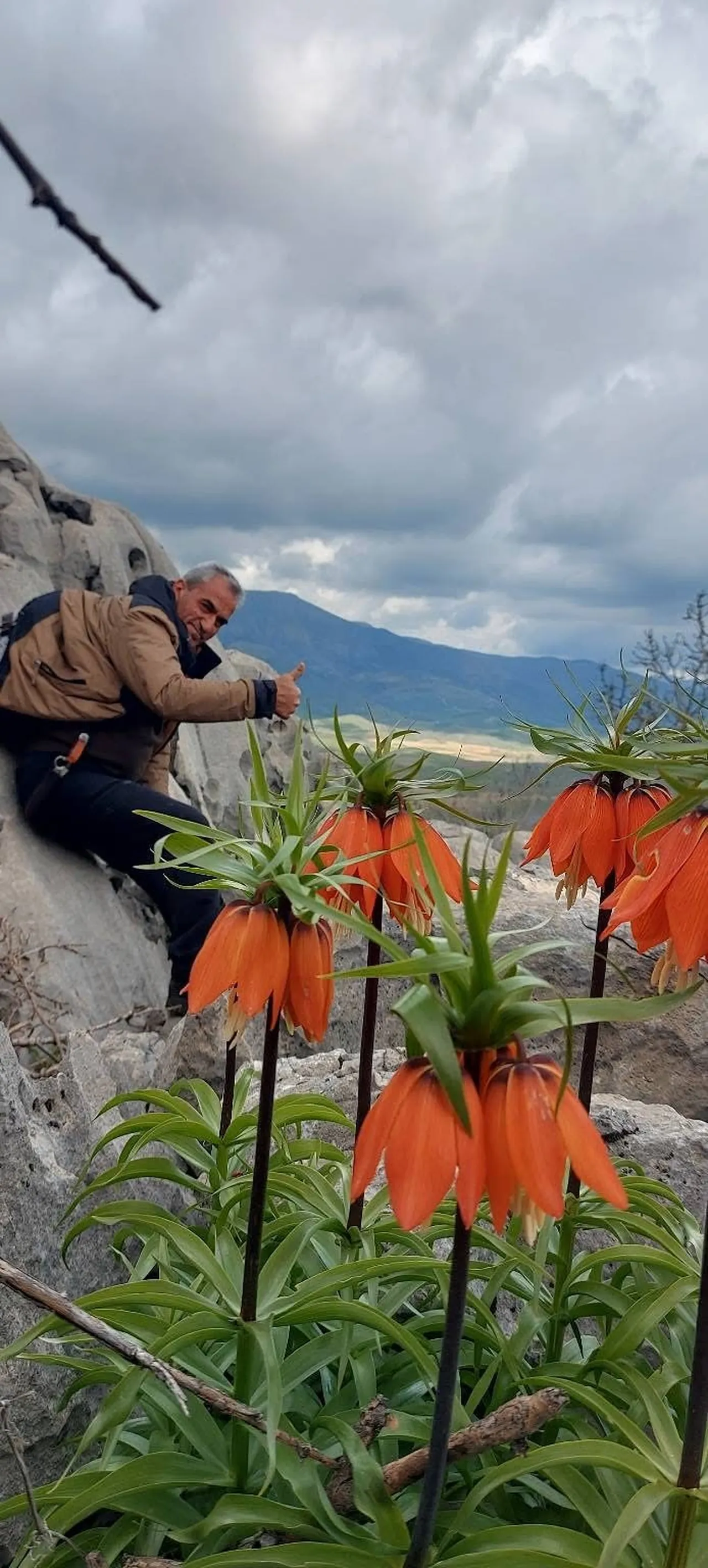 Koparana 700 bin lira ceza! Bu çiçek yılda sadece 20 gün yaşayabiliyor