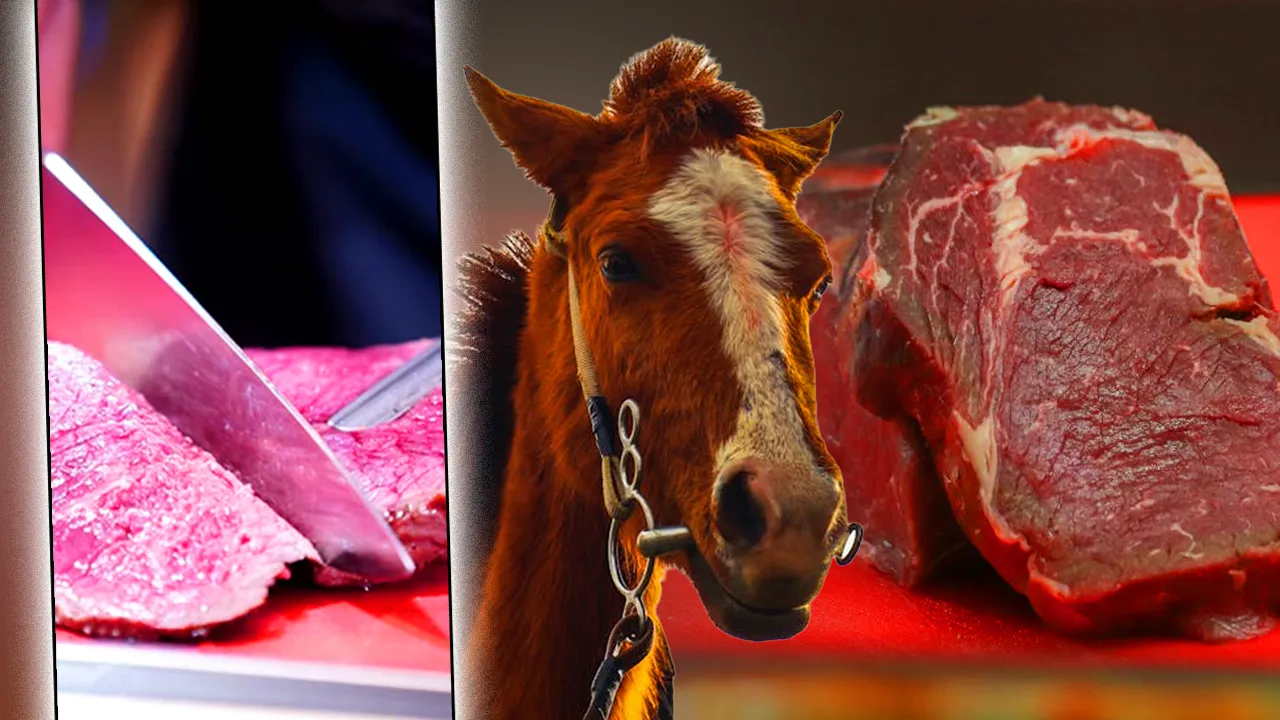 Mersin’de aşevindeki at eti skandalında bir skandal daha! Belediyeye et veren Toros Gıda’nın satış onay belgesi yokmuş