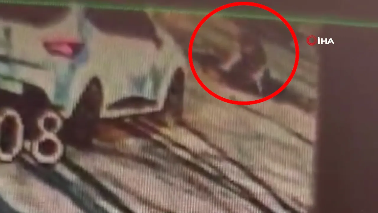 Okula giderken çukura düşen ortaokul öğrencisi kamerada!