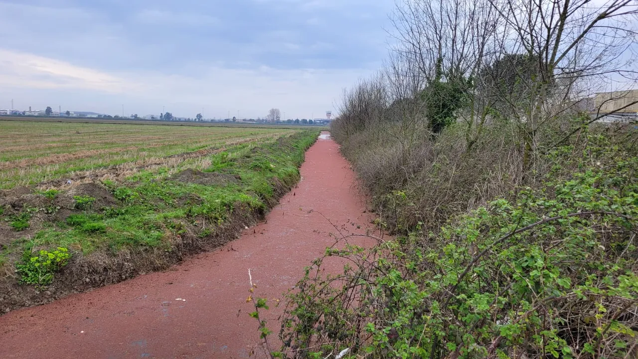 Samsun'da sulama kanalı kırmızıya büründü!