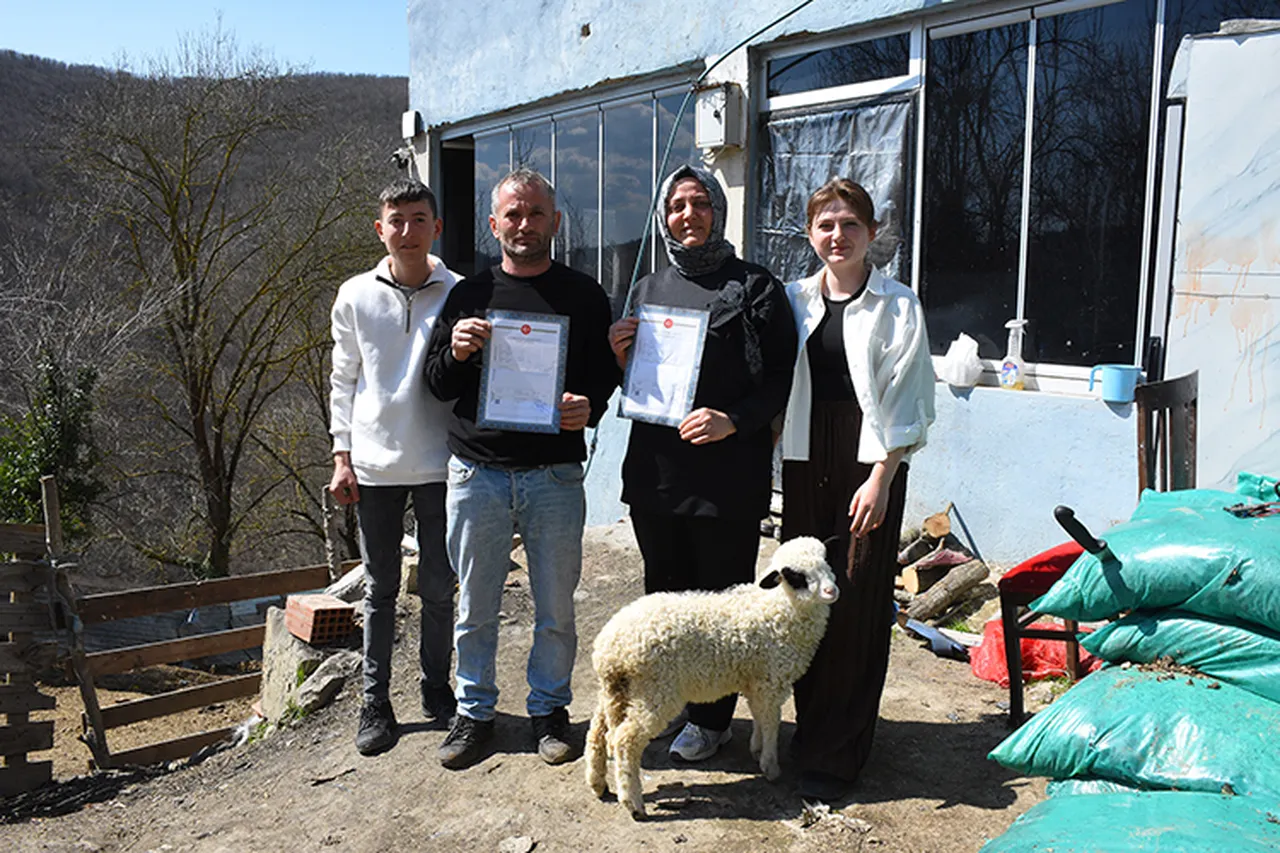 Samsun'da yarım asırlık arazi paylaşımı sorunu arabulucuyla 28 günde çözüldü