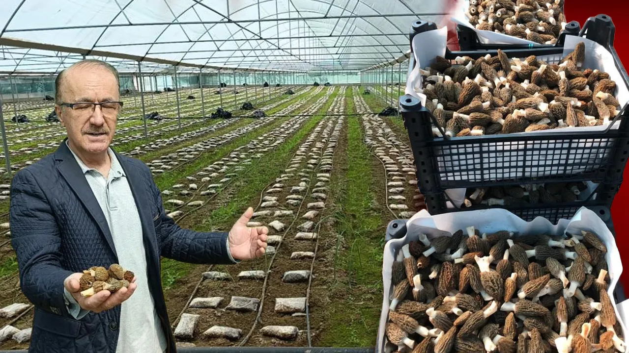 TÜRKİYE'DE BİR İLKİ BAŞARDI