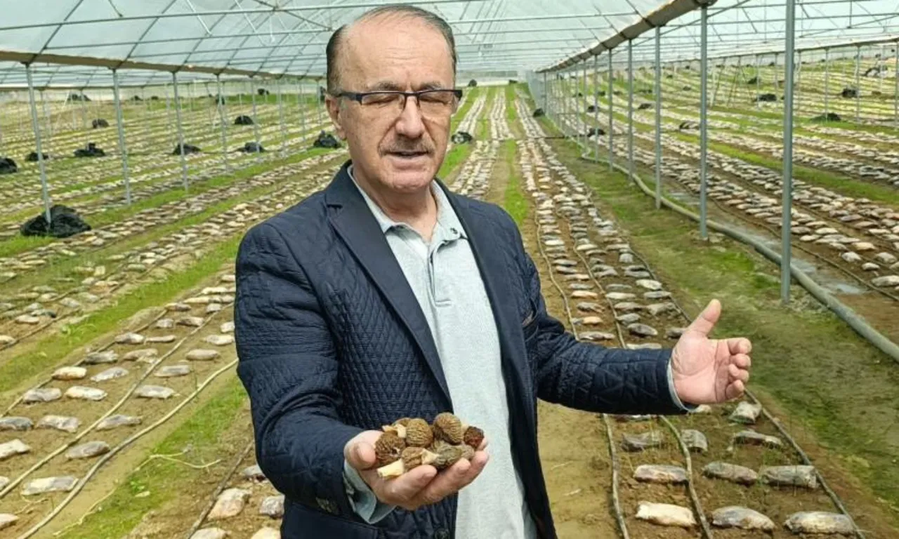 Türkiye’de bir ilk: Kendi imkanlarıyla kurdu, paraya para demeyecek… Kilosu 9 bin TL