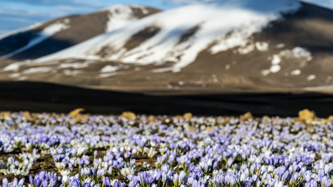 Kışın bile böylesi görülmedi! Meteoroloji peş peşe uyarı yayınladı: Kar kalınlığı 20 santimi aşacak