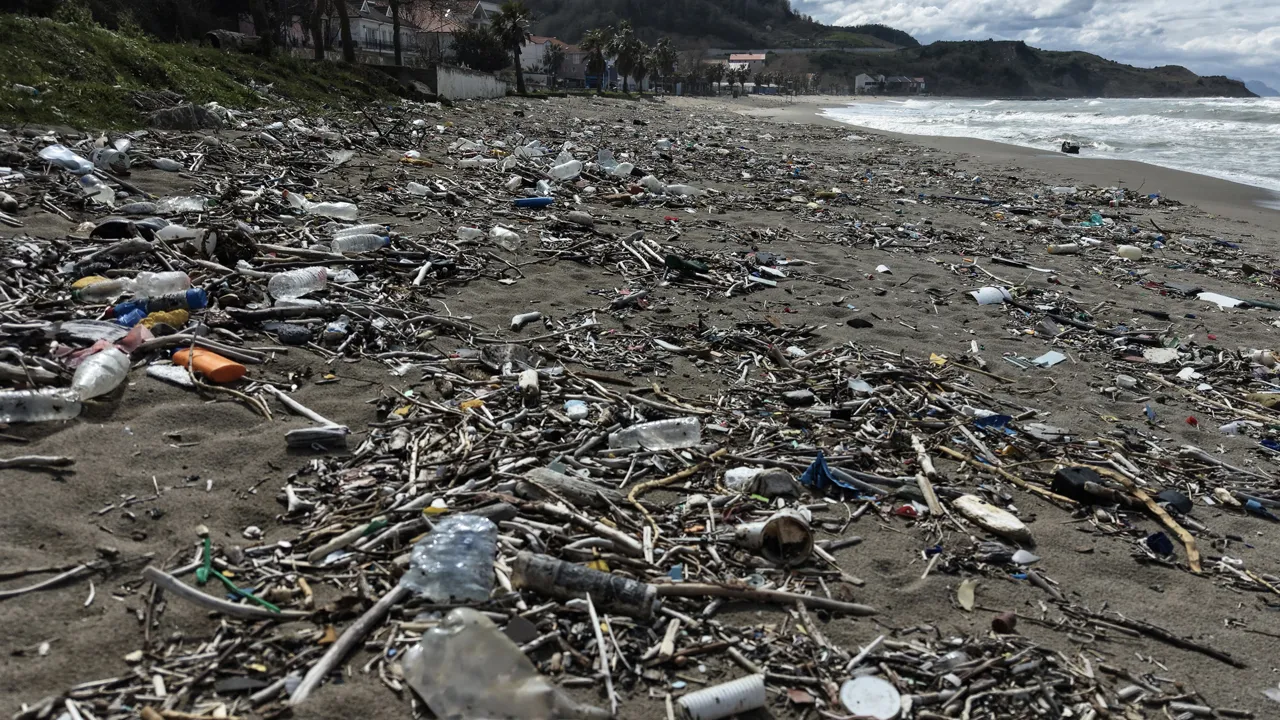 Sinop'ta rüzgar şiddetli esti, sahil çöple kaplandı