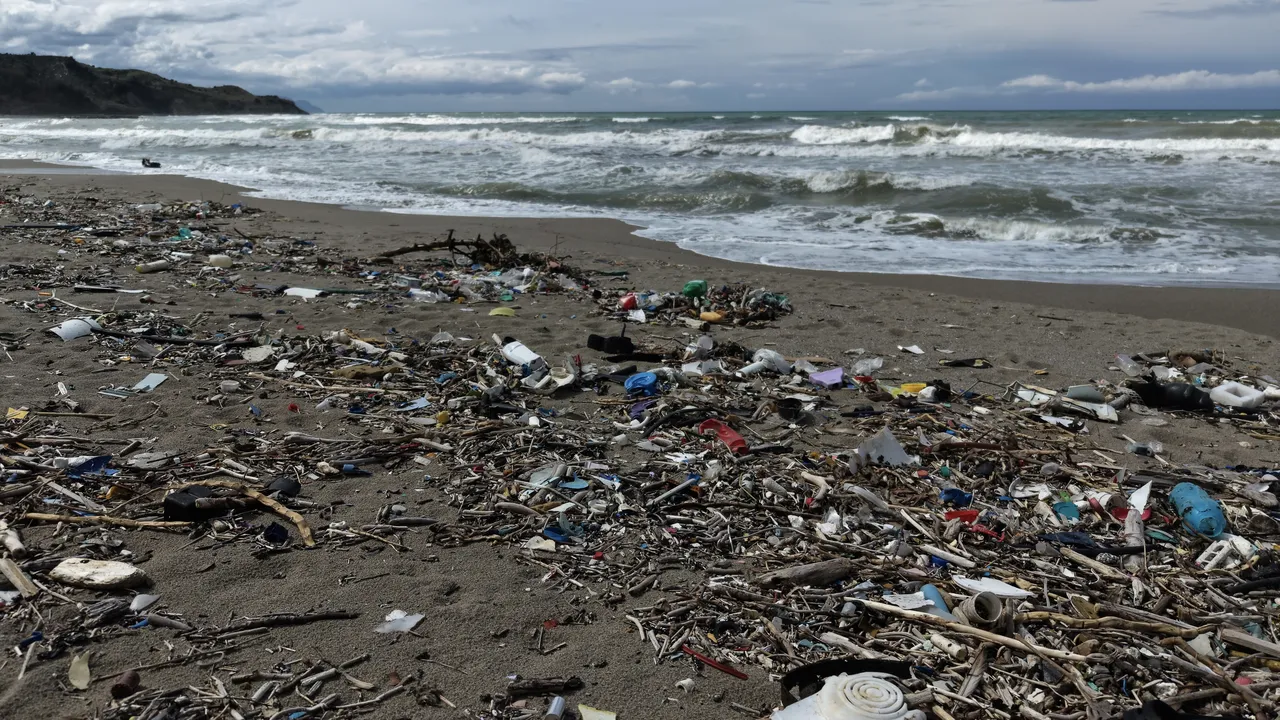 Sinop'ta rüzgar şiddetli esti, sahil çöple kaplandı