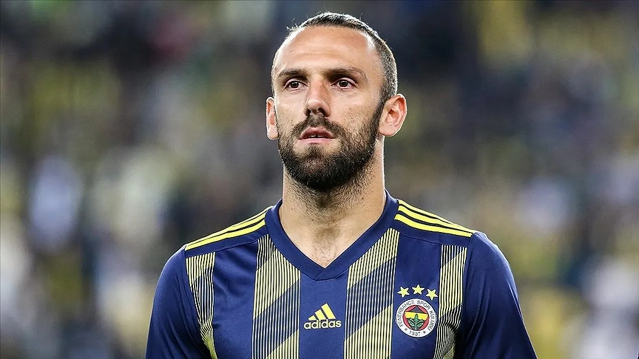 Vedat Muriqi, Fenerbahçe formasıyla