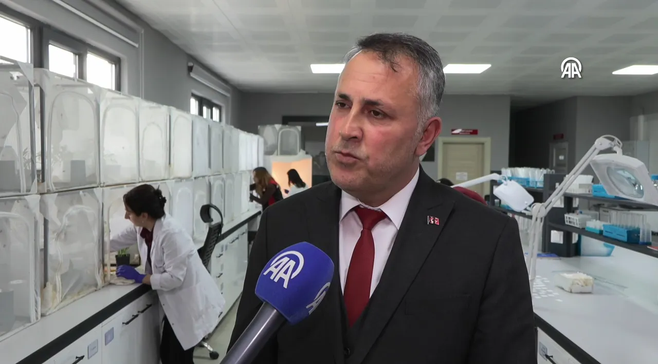 300 bitkinin canına okuyor! Mücadele için 1 milyon 650 bin samuray arısı salınacak