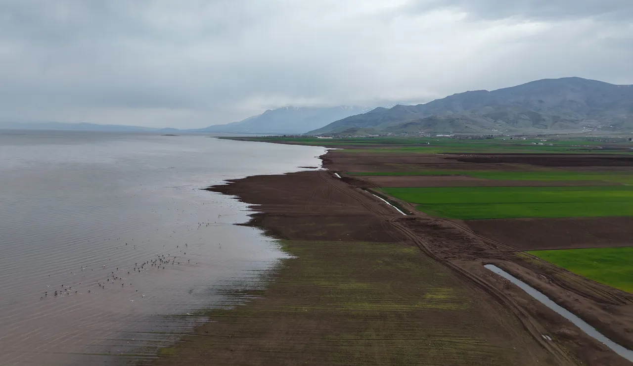 7 yıl sonra göz yaşartan gelişme! 2019'da kurudu, 2026'da sular altında kaldı