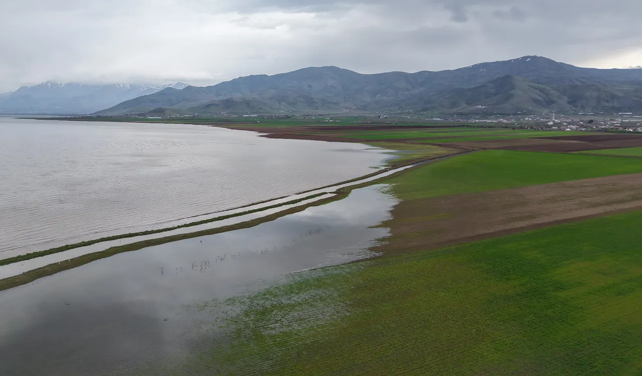 7 yıl sonra göz yaşartan gelişme! 2019'da kurudu, 2026'da sular altında kaldı