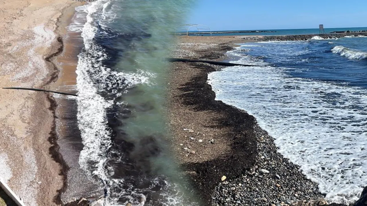 Antalya'da sahilde tedirgin eden görüntü! Gerçek bakın ne çıktı