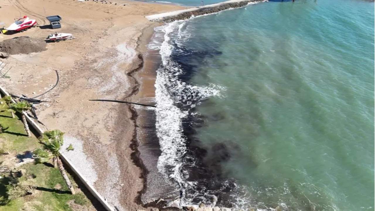 Antalya'da sahilde tedirgin eden görüntü! Gerçek bakın ne çıktı