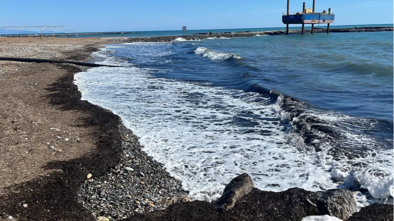 Antalya'da sahilde tedirgin eden görüntü! Gerçek bakın ne çıktı