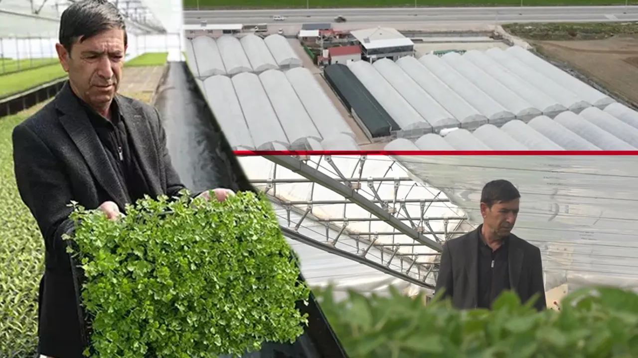 Arkadaş tavsiyesiyle başladı, tüm bölgenin tedarikçisi oldu! Tam 4 milyon üretiyor