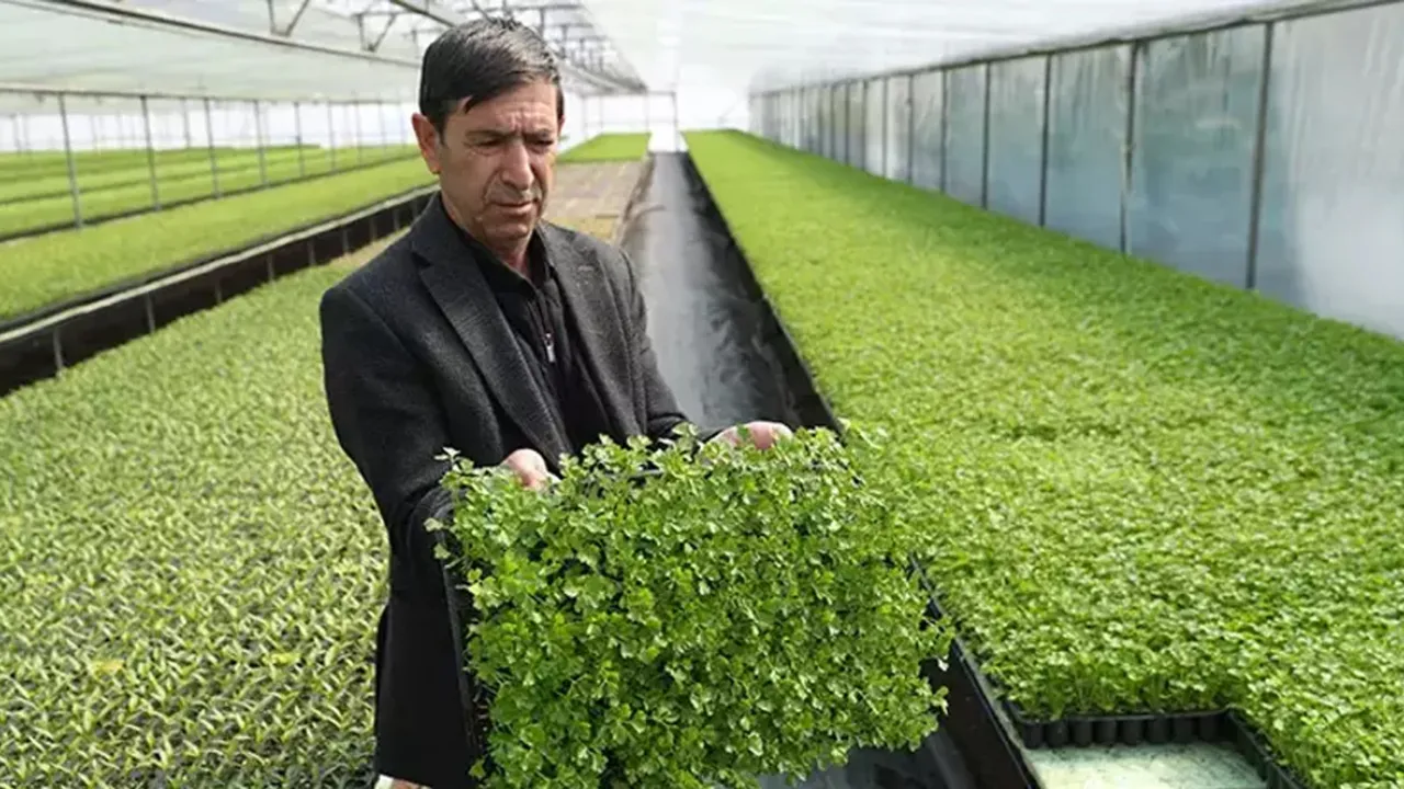 Arkadaş tavsiyesiyle başladı, tüm bölgenin tedarikçisi oldu! Tam 4 milyon üretiyor