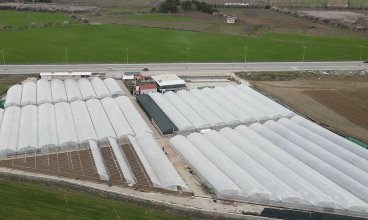 Arkadaş tavsiyesiyle başladı, tüm bölgenin tedarikçisi oldu! Tam 4 milyon üretiyor