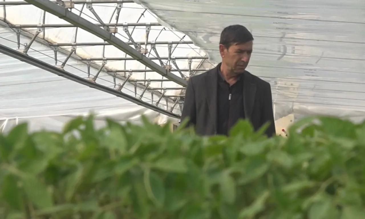 Arkadaş tavsiyesiyle başladı, tüm bölgenin tedarikçisi oldu! Tam 4 milyon üretiyor