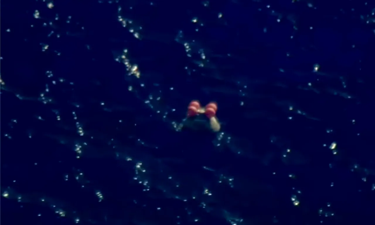 Artemis Artemis II Dünya'ya döndü