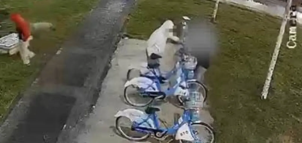 Belediyenin bisikletlerine çirkin saldırı! O anlar güvenlik kamerasında