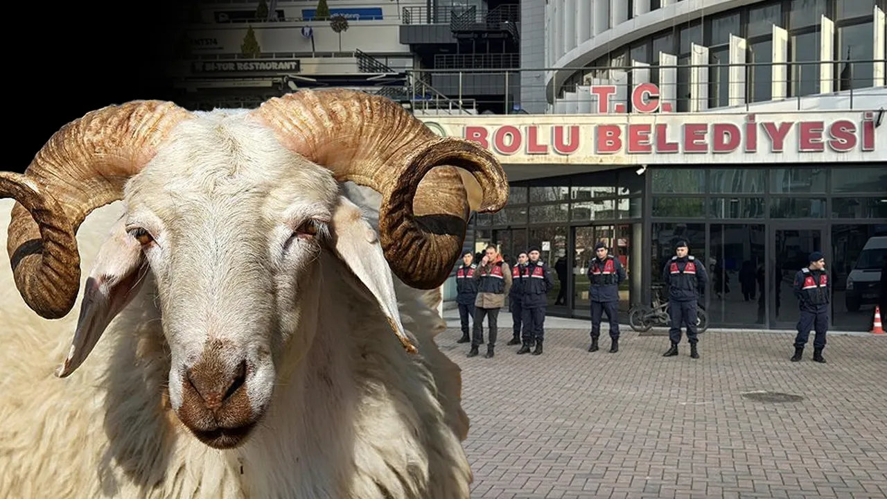 Kurban parası toplayıp kesim yapmamışlardı! Bolu Belediyesi'ndeki vurgunda 2 kişi tutuklandı