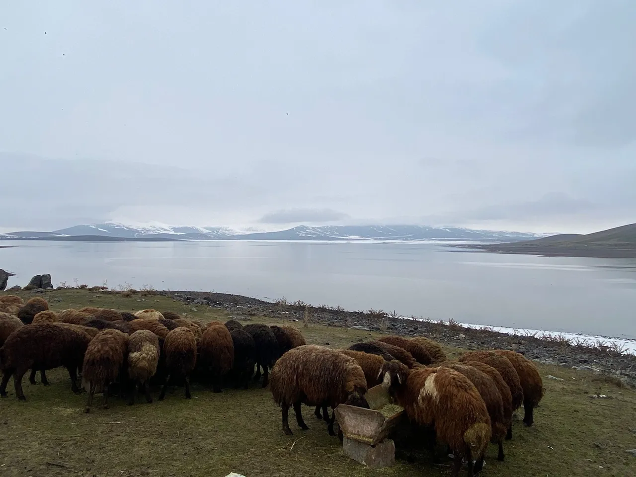 Patnos’ta kuraklık korkusu bitti, kar suları barajı coşturdu!