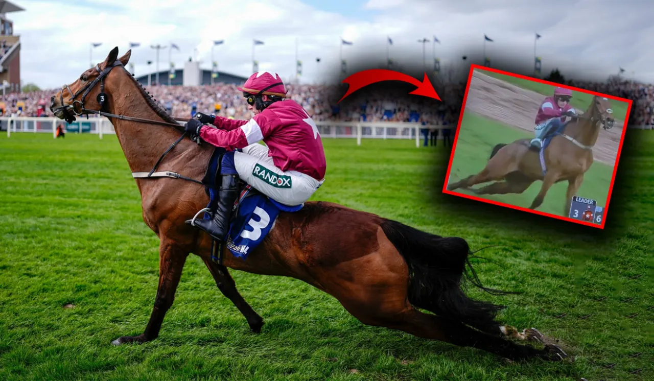 Zaferin bedeli ağır oldu: Gold Dancer yarış sonrası hayatını kaybetti