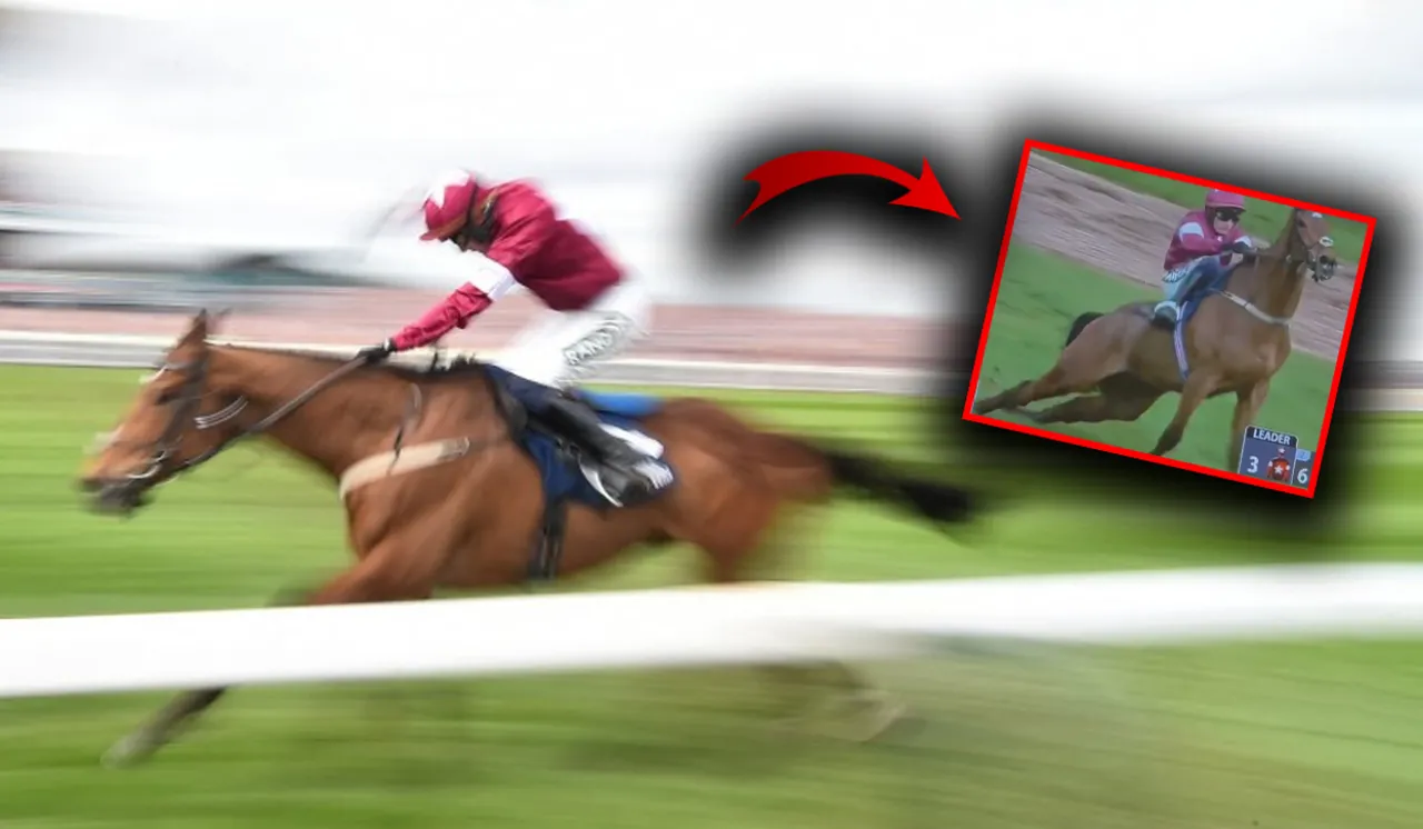 Zaferin bedeli: Yarış sonrası hayatını kaybetti