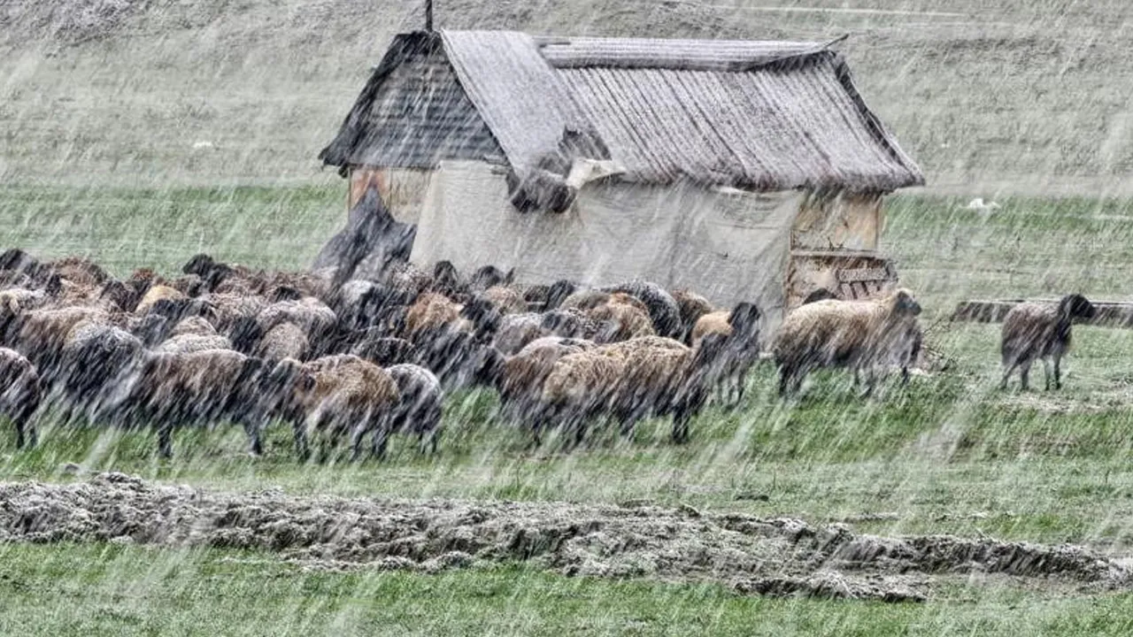 Ankara, Eskişehir, Rize... Baharı beklerken kış geri geldi, hayat bir anda değişti