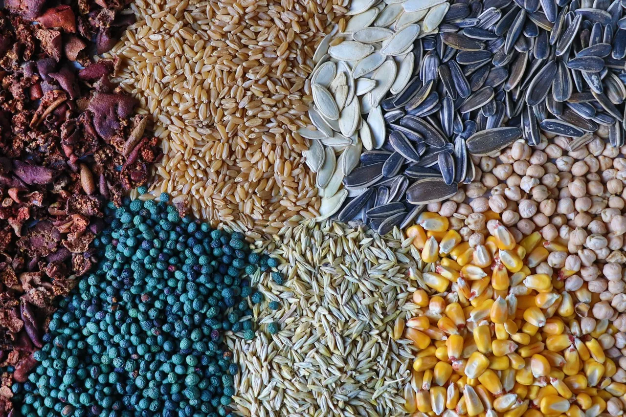 Asırlık şifalı Anadolu lezzeti! 3 kaşığı 1 gün tok tutuyor, göç edenlerin dede mirası Konya’da yaşatılıyor