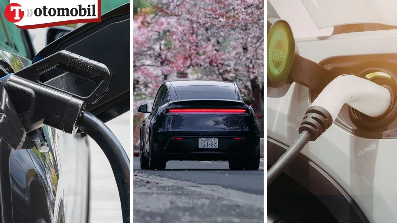 Çinli uzmandan 'elektrikli' öngörüsü: 2040'a kadar pazarın %90'ına hakim olacak