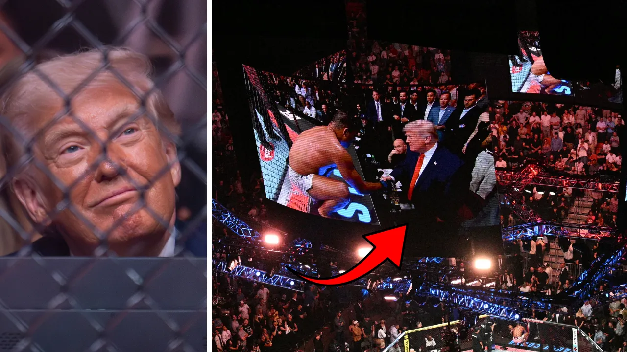 Dünya İslamabad’a kilitlendi, Trump kafes dövüşünde görüntülendi! Sosyal medyada gündem oldu