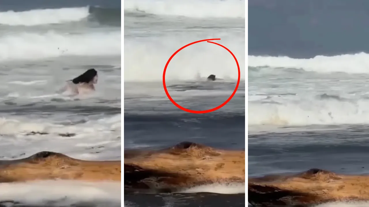 Fenomenin içerik çekimi faciaya dönüştü! Dev dalgalar saniyeler içinde yuttu